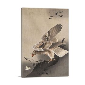 Hawk Hunting (Type: Standard Framed Canvas Print, size: 16" x 12" / 42cm x 30cm (approx))
