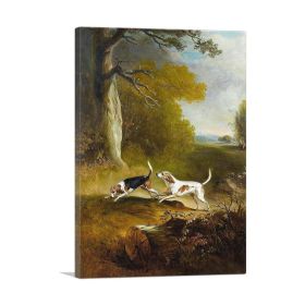 Two Dogs Hunting (Type: Standard Framed Canvas Print, size: 40" x 26" / 100cm x 65cm (approx))